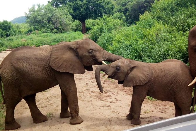 3 - Days Tanzania Wildlife Safari - Why this three-day route works