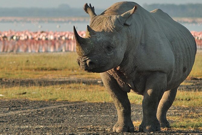 3Days Safari to Tarangire Ngorongoro and manyara lodge safari - The Strengths I Would Pay For