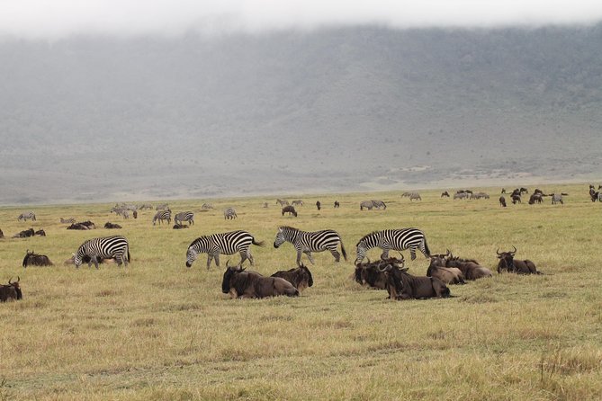 3Days Safari to Tarangire Ngorongoro and manyara lodge safari - The Limits of a Three-Day Safari