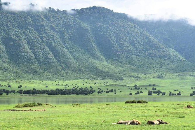 3days Serengeti National park and Ngorongoro Crater Tanzania Safari - Day 1: Arusha to Serengeti after a 7 AM start