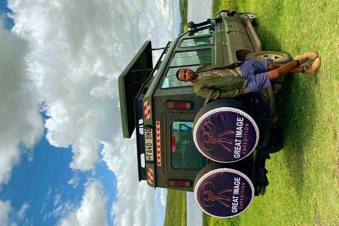3days Serengeti National park and Ngorongoro Crater Tanzania Safari - Day 2: Early wildlife viewing and the road toward Ngorongoro