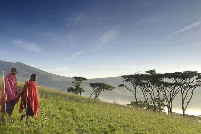 4 Day: Astonishing Group Safari - Who should book this four-day safari?