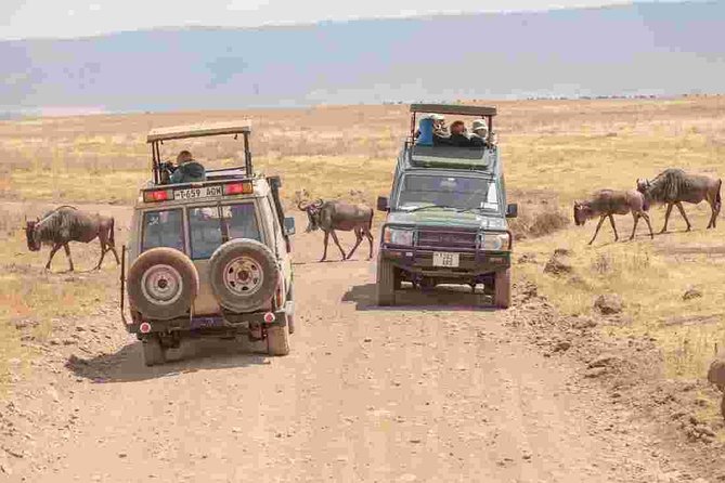 4-Day Basic Safari with Serengeti, Ngorongoro, & Tarangire - Three famous parks packed into four driving days