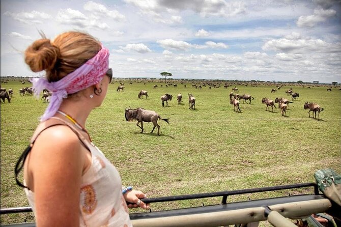4-Day Basic Safari with Serengeti, Ngorongoro, & Tarangire - Day 4: Ngorongoro Crater’s concentrated wildlife