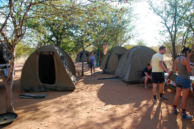 4-Day Basic Safari with Serengeti, Ngorongoro, & Tarangire - Camping, meals, and the practical side of the safari