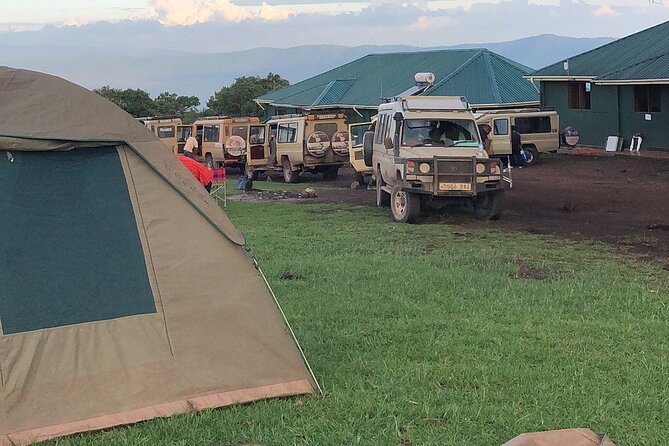 4-Day Budget Tarangire, Serengeti, Ngorongoro Safari Guided Tour - Day 4: Ngorongoro Crater’s concentrated game viewing