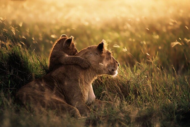 4-Day Budget Tarangire, Serengeti, Ngorongoro Safari Guided Tour - What the $1,000 price really covers
