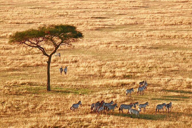 4-Day Camping on the Big Five Private Safari - Day two: crossing into the Serengeti