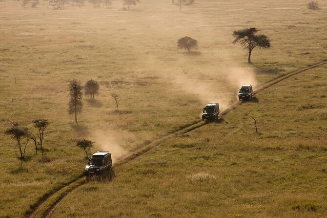 4 Day Great Migration Safari Serengeti & Ngorongoro Crater - Day three: more Serengeti, then a night near the crater