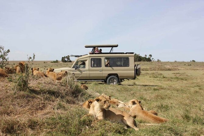4 Day Great Migration Safari Serengeti & Ngorongoro Crater - Day four: a full wildlife day inside Ngorongoro Crater