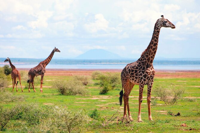 4 Day Great Migration Safari Serengeti & Ngorongoro Crater - What the $2,680 price includes