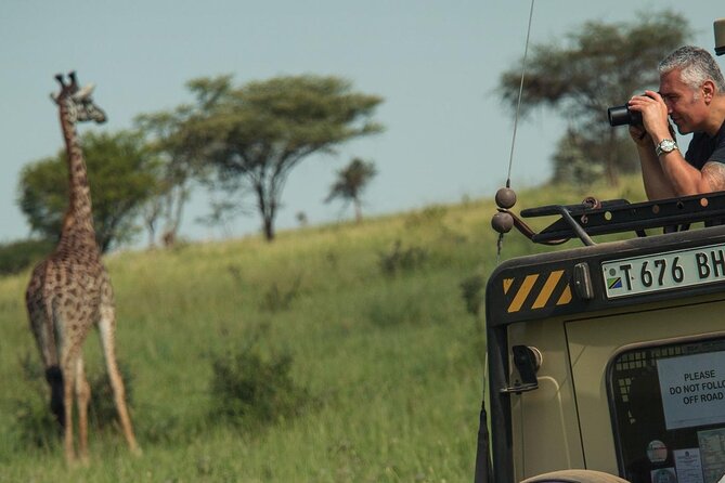 4 Day Great Migration Safari Serengeti & Ngorongoro Crater - Accommodation and food: useful comfort, not luxury