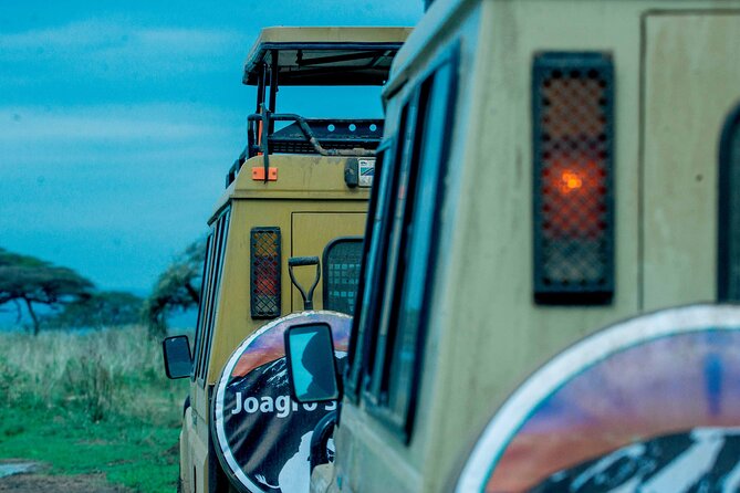 4-Day Group Joining Safari in Tanzania | Shared Safari - Tarangire’s elephants and baobabs set the tone