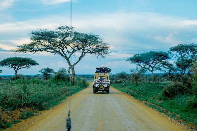 4-Day Group Joining Safari in Tanzania | Shared Safari - Booking details worth checking before departure