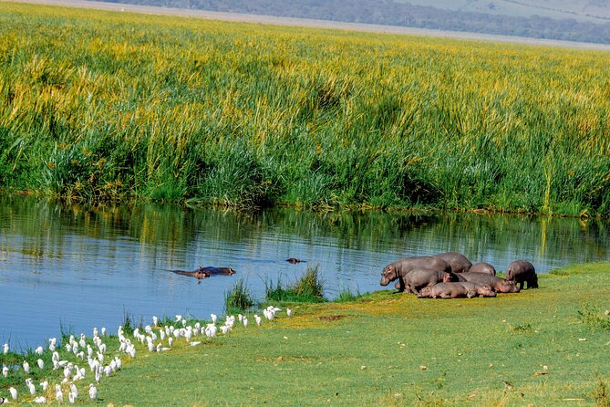 4-Day Group Joining Safari in Tanzania | Shared Safari - The road to Seronera is part of the safari