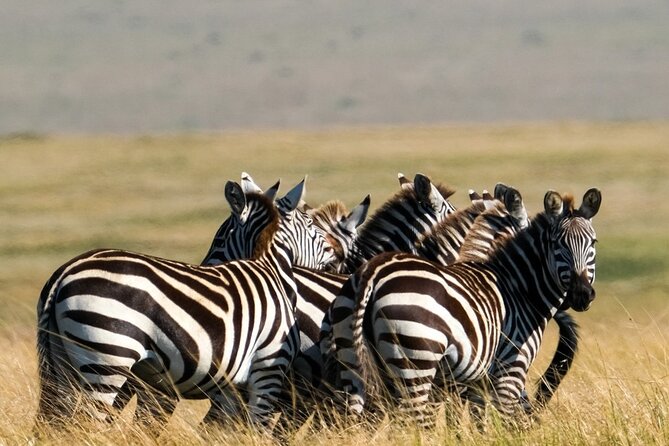 4-Day Majestic Group Tour in Safari - What the $780 price includes, and what it does not