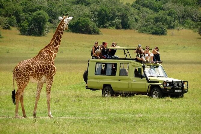 4-Day Majestic Group Tour in Safari - Day 1 in Arusha: a useful arrival cushion