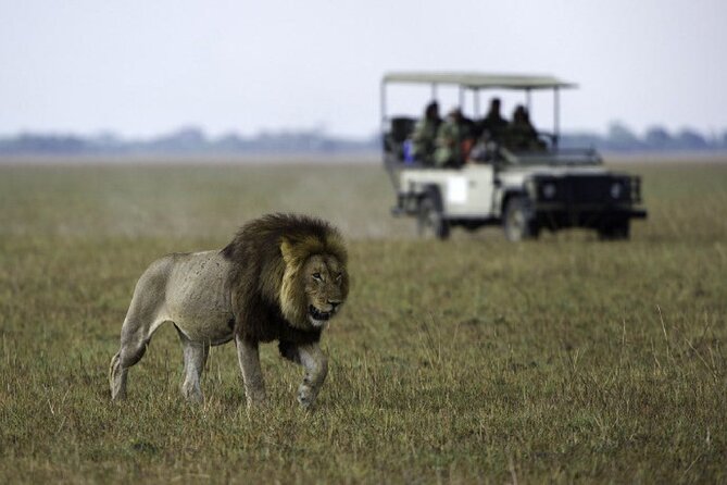 4-Day Manyara Serengeti and Ngorongoro Wonders Budget Safari Tour - Ngorongoro Crater and the black-rhino search