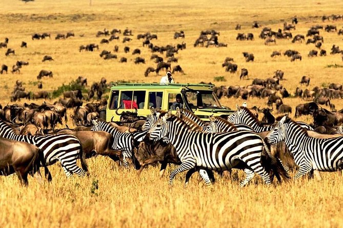 4 Day Mid-range Private Roundtrip Flying from Zanzibar - Day two: the long drive toward northern Serengeti