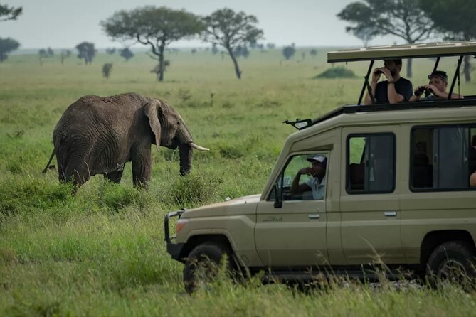 4 Day Ngorongoro Crater Tarangire and Serengeti National Park - Day four: Ngorongoro Crater’s concentrated wildlife