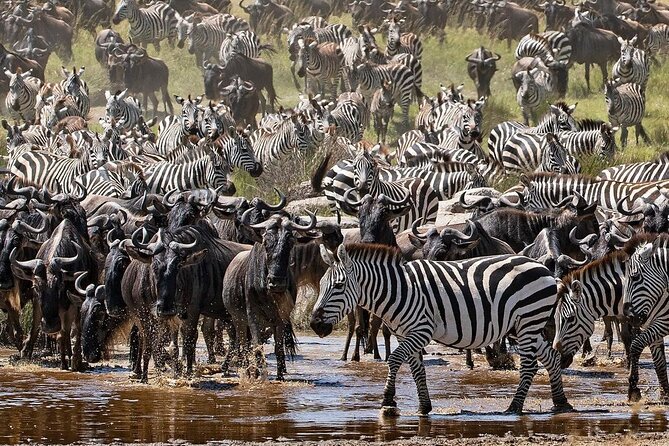 4-Day Northern Tanzania Camping Tour Safari - What this safari really includes