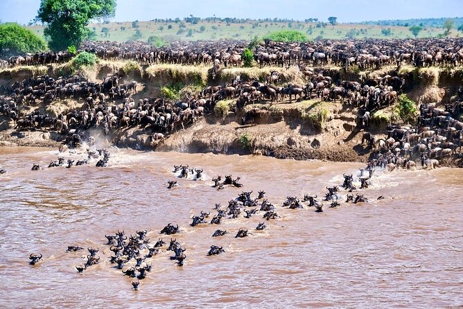 4-Day Northern Tanzania Camping Tour Safari - Day 1: Start in Arusha with a simple arrival night