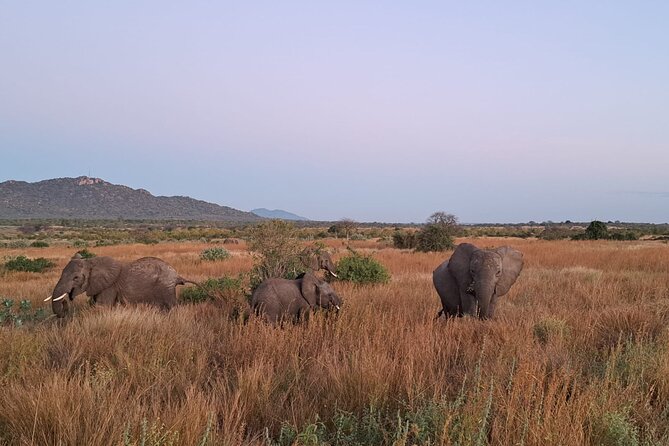 4-Day Private Lake Natron and Serengeti Wildlife Safari - Who will enjoy this four-day route