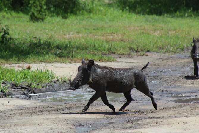 4-Day Safari in Tarangire, Serengeti & Ngorongoro (Mid-range) - Is $3,210 per person good value?