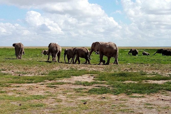 4-Day Safari: Lake Manyara, Serengeti & Ngorongoro - What this four-day safari is really offering