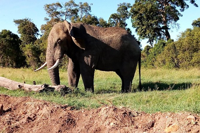 4-Day Safari: Lake Manyara, Serengeti & Ngorongoro - Camping, meals, and what to pack