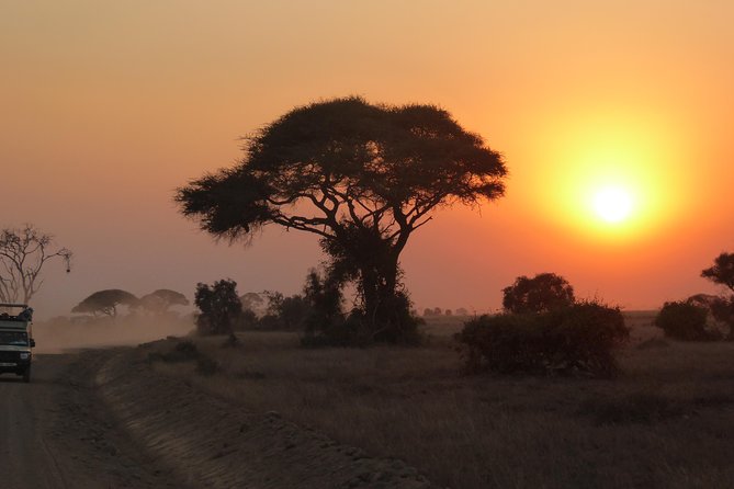 4-Day Safari: Lake Manyara, Serengeti & Ngorongoro - Day 1: Lake Manyara beneath the Rift Valley escarpment