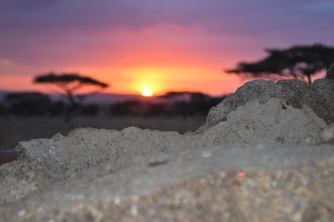 4 Day Safari- Tarangire,Ngorongoro and Serengeti - Pace, fitness, and practical planning
