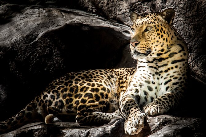4 Day Safari- Tarangire,Ngorongoro and Serengeti - Tarangire: elephants beneath the baobabs
