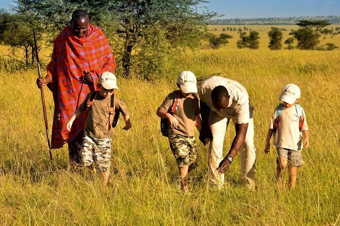 4-Day Safari to Tarangire ,Serengeti and Ngorongoro crater from Arusha - Day 3: Sunrise Wildlife Viewing and a Second Serengeti Chance