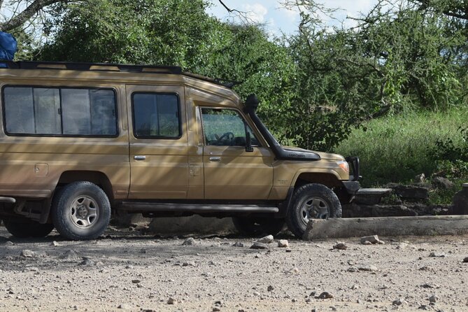4-Day Safari to Tarangire ,Serengeti and Ngorongoro crater from Arusha - Day 4: Ngorongoro Crater at Sunrise