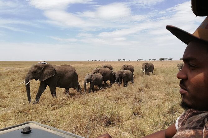 4-Day Safari to Tarangire, Serengeti and Ngorongoro from Arusha - Join a group - The guide can make or break the experience