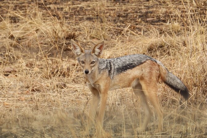 4 Day Serengeti and Ngorongoro crater - What the $1,980.52 price really covers