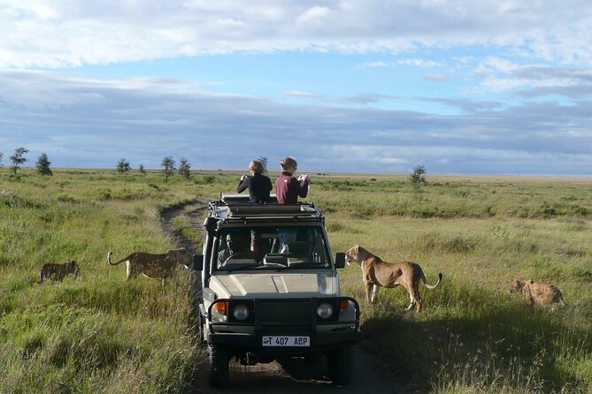 4-Day Serengeti, Ngorongoro, & Lake Manyara Budget Tour - Lodging and the real meaning of budget