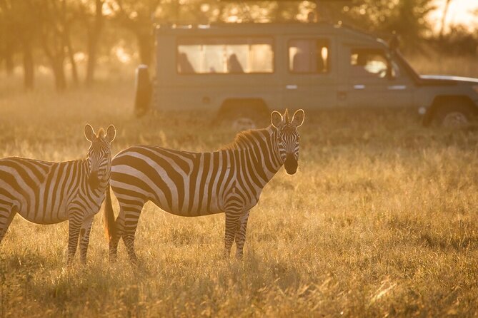 4-Day Serengeti, Ngorongoro, & Lake Manyara Budget Tour - Leaving Arusha at 6:30 am for Serengeti