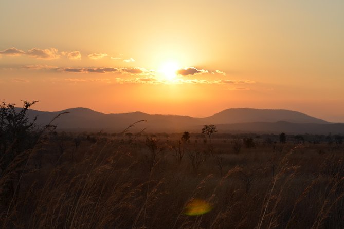 4 Day Serengeti & Ngorongoro Safari Wildlife Wonders of Tanzania - Day 1: the long road to Serengeti