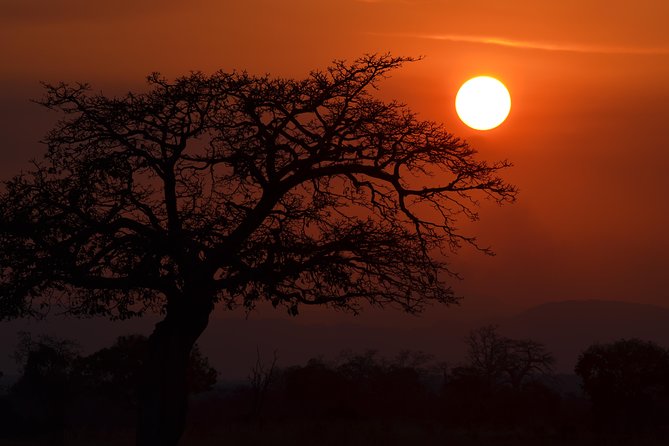 4 Day Serengeti & Ngorongoro Safari Wildlife Wonders of Tanzania - What $1,450 per person really buys
