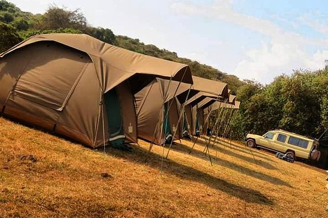 4-Day Serengeti, Ngorongoro,Tarangire safari - Guides, vehicles, and the small group limit