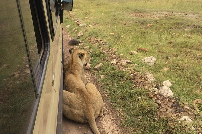 4-Day Serengeti, Ngorongoro,Tarangire safari - Day one: Tarangire and its elephant country