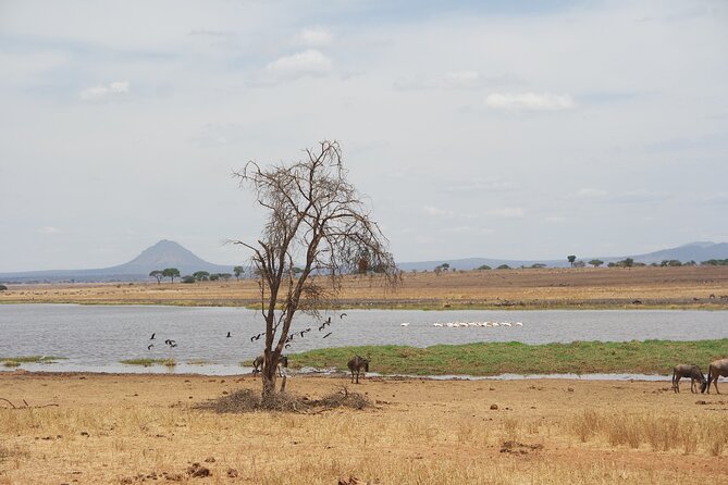 4-Day Shared Safari Tour with Complete Meals - Day 2: The long road from Ngorongoro toward Serengeti