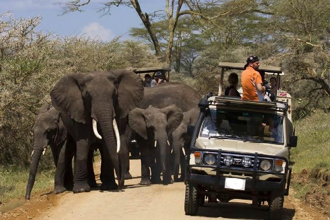 4-Day Tanzania Camping Safari to Lake Manyara, Serengeti, and Ngorongoro Crater - Three parks, three very different safari settings