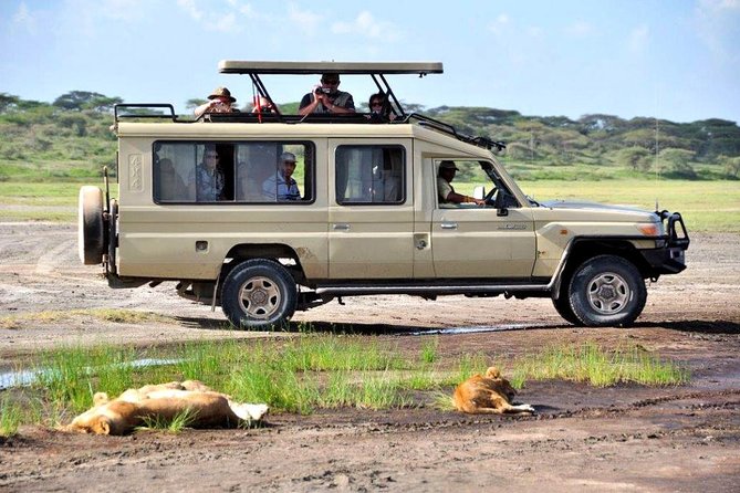 4-Day Tanzania Camping Safari to Lake Manyara, Serengeti, and Ngorongoro Crater - Camping in the Serengeti: simple, useful, and outdoorsy
