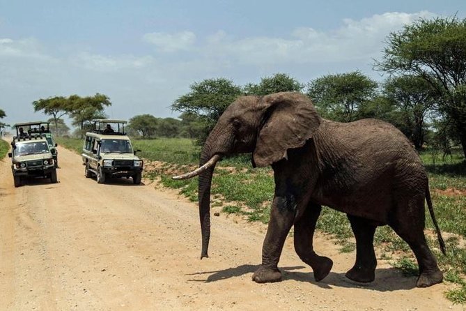 4-Day Tanzania Camping Safari to Lake Manyara, Serengeti, and Ngorongoro Crater - What the $1,675 price really covers