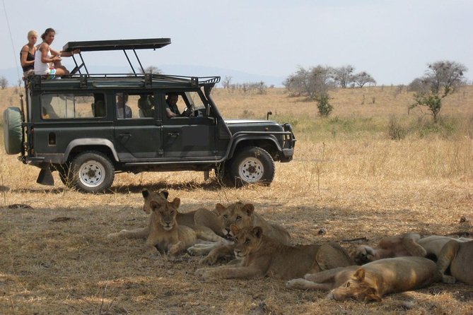 4-Day Tanzania Camping Safari to Lake Manyara, Serengeti, and Ngorongoro Crater - The guide and driver matter on long safari days