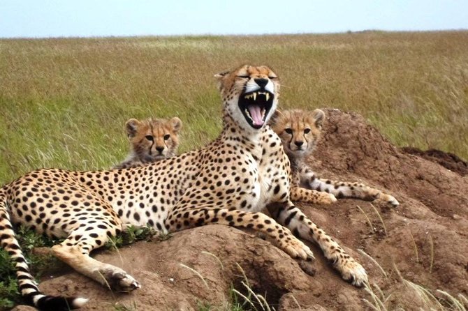 4 Day Tanzania Luxury Safari - Day 3: Olduvai Gorge and the road back to Ngorongoro