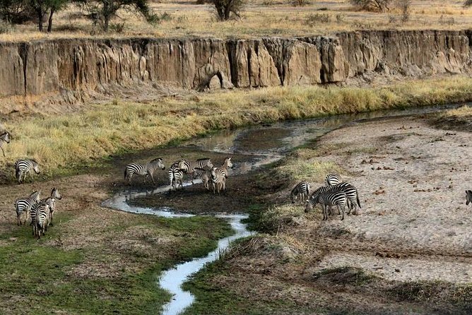 4 Day Tanzania Luxury Safari - Who will enjoy this safari most